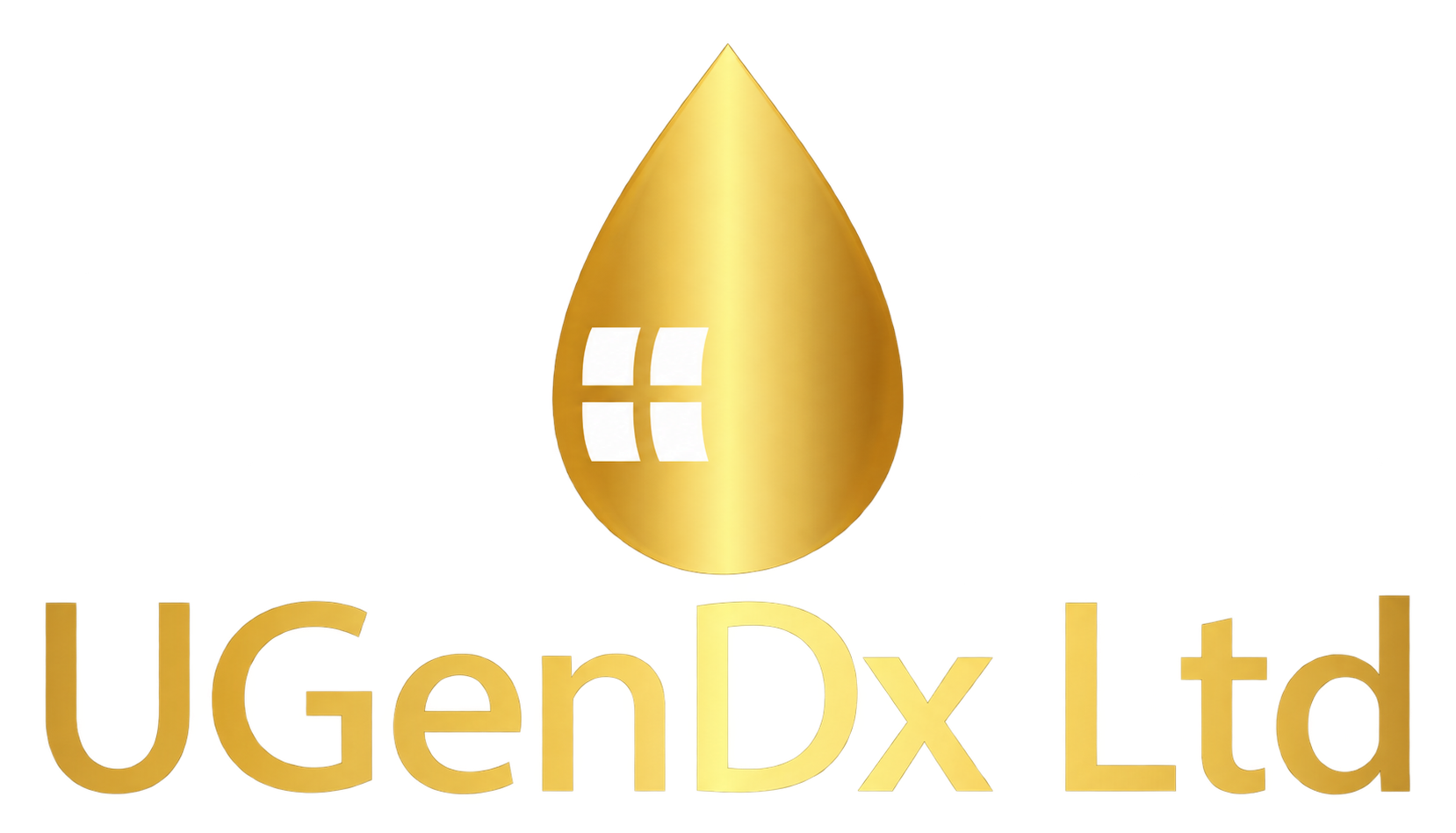 logo11