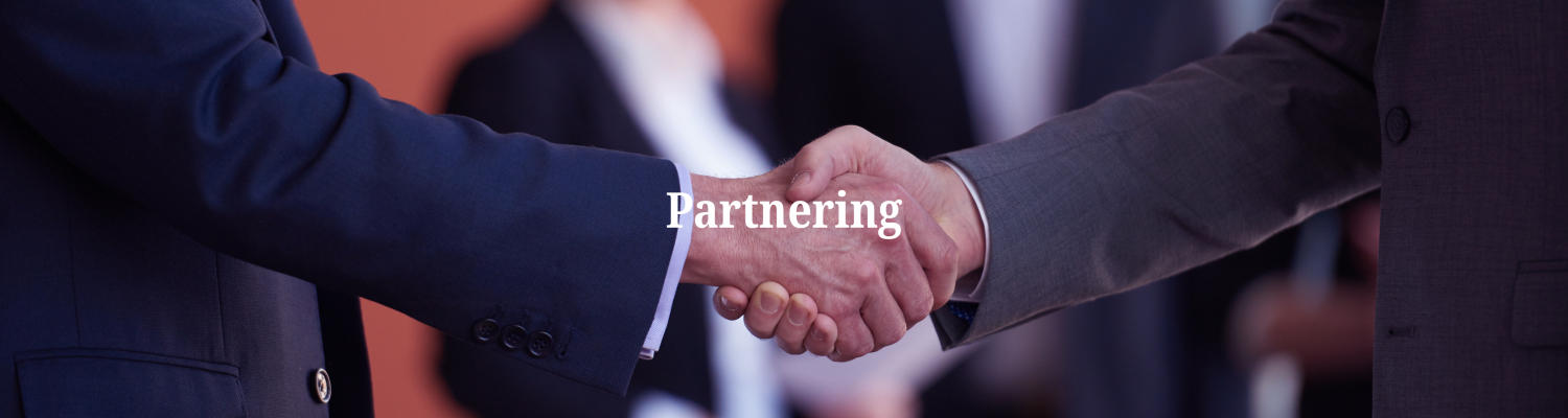 Partnering (1)